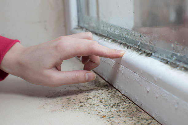 Best Dehumidification Services  in Fayette, MS