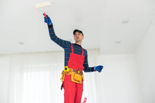 Best Post-Construction Mold Inspection  in Fayette, MS